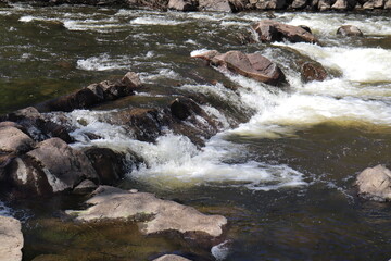 River in the forest. Summer calendar and rapids in the nature with trees. Drinking water of a city. The current of the water and stones with waterfalls. The St-Charles river in Quebec and in spring.