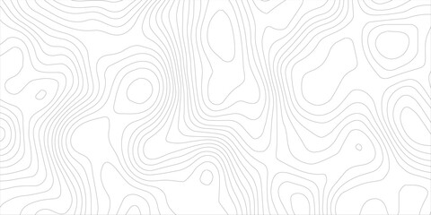 White wave paper curved reliefs abstract background, geographic contour map, Abstract topographic contours map background, Topography map background. Vector illustration. 