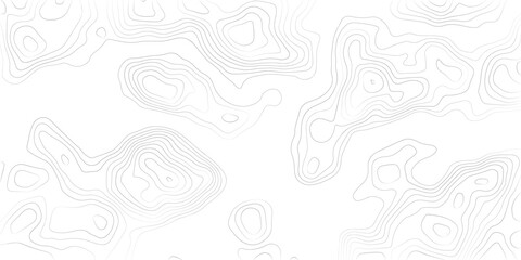 White wave paper curved reliefs abstract background, geographic contour map, Abstract topographic contours map background, Topography map background. Vector illustration. 