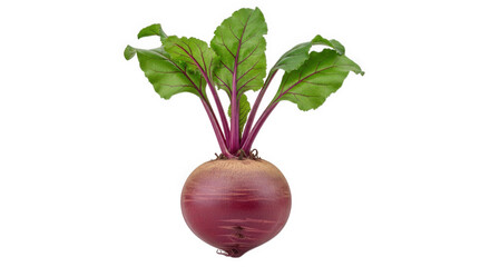 Fresh beetroot with green leaves isolated on black background healthy vegetable food photography on transparent background