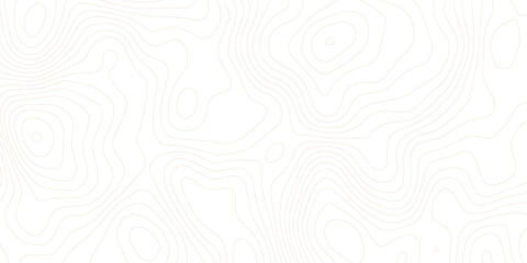 White wave paper curved reliefs abstract background, Abstract topographic contours map background, Topography map background. Vector geographic contour map.