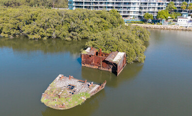 Sydney, Homebush Bay shipwreck SS Ayrfield covered in mangrove trees, 