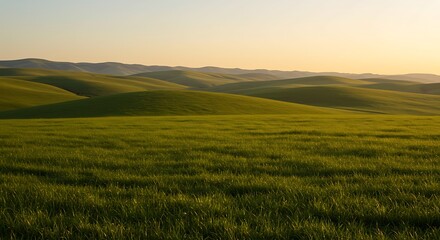Obraz premium Serene Rolling Hills Landscape at Sunset Breathtaking View of Undulating Green Fields