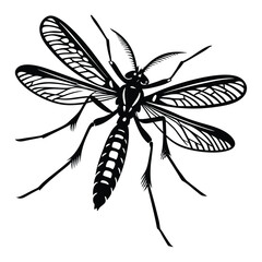 Silhouette of a flying and sucking mosquito with extended proboscis, delicate wings, and long legs—capturing the insect’s stealthy and agile form in mid-air.
