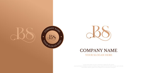 Initial BS Logo Design Vector 