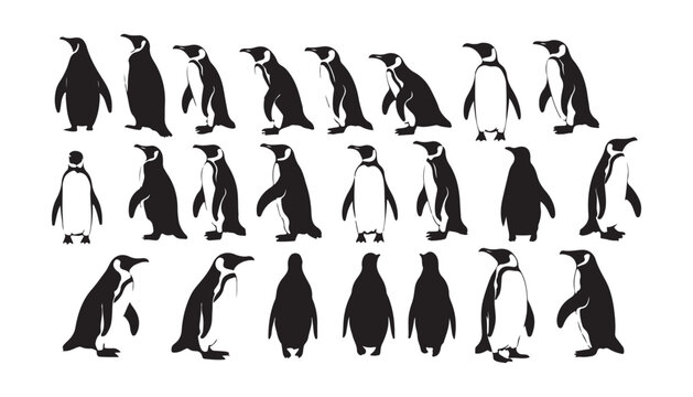 Black silhouette art illustration of a penguin on a white background
