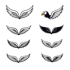 Obraz premium set of vector wings