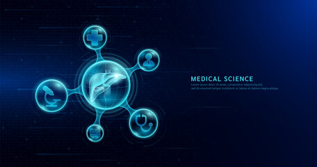 Human liver organ inside transparent molecule with icons doctor pill stethoscope and plus sign on dark blue digital technology background. Medical science. Vector EPS10.