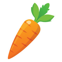 Single carrot vegetable vector illustration on white background