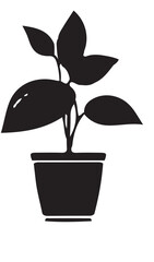 vector illustration of a plant