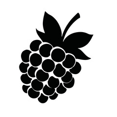Blackberry silhouette, vector silhouette of a fruit on a white background