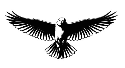 Obraz premium Stylized Illustration of a Flying Eagle with Wide Spread Wings in Detailed Black and White Feather Pattern Isolated on White Background