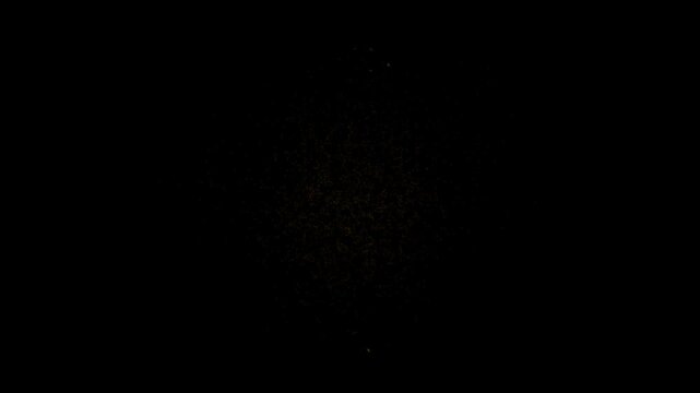 phoenix Fire bird. flaming phoenix intro. Fire bird element overlay