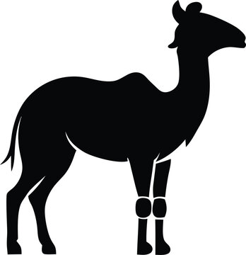 illustration of a dumba