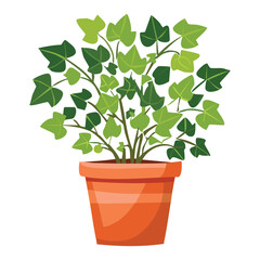 potted ivy plant illustration
