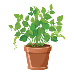 Obraz premium Potted plant with dense foliage illustration