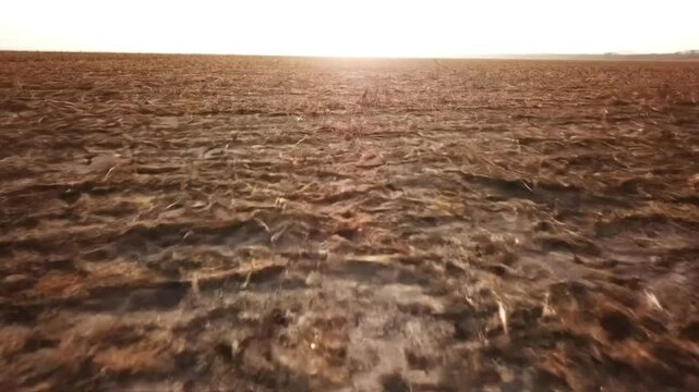 Aerial view of drought-affected farmland with cracked soil and dead crops