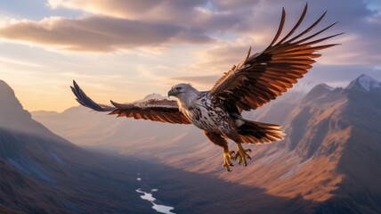 Golden hour illuminates a majestic eagle's graceful flight over a vast mountain wilderness