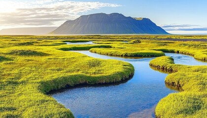 Icelandic moorland landscape