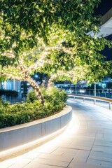 Illuminated urban walkway with trees