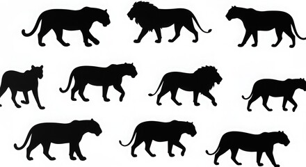 Fototapeta premium Wild panther silhouettes walking in various poses isolated on white background vector set