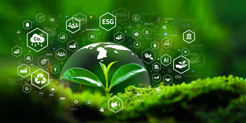 ESG Concepts, Tree Planting for Environment, Society and Governance in Sustainable and Ethical Business Operations and Net Zero Carbon Emission Technology, Environmental Organizations, Sustainable Dev