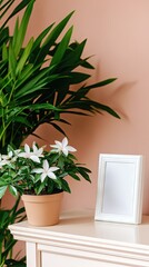Interior plants and a frame
