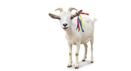 Obraz premium Adorable White Goat with Colorful Ribbons on White Background