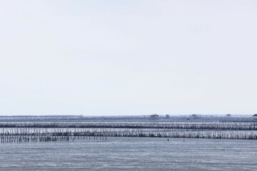 winter landscape with snow and fence