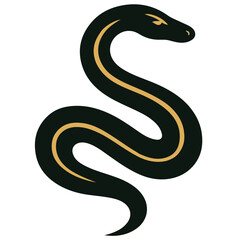 Fototapeta premium A dark green snake with a gold stripe winds up facing right with its head up and its tail down on a white background