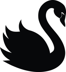 Obraz premium black swan vector illustration