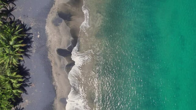 Aerial cenital shot moving forward above Cocles beach, showing its black sand shoreline and lush tropical vegetation.