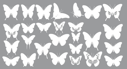 Fototapeta premium White Butterfly Silhouettes Collection of 28 Butterfly Clipart Vector 