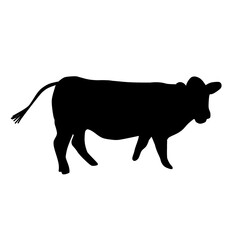 Flat design cartoon illustration of a dairy cow silhouette black. farm, dairy, eid al adha.