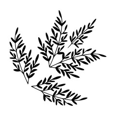 nature inspired fern frond design