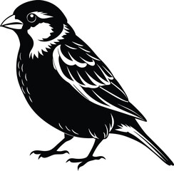 Obraz premium black and white bird vector illustration