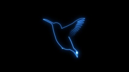 glowing neon line Kingfisher icon animation. - Powered by Adobe