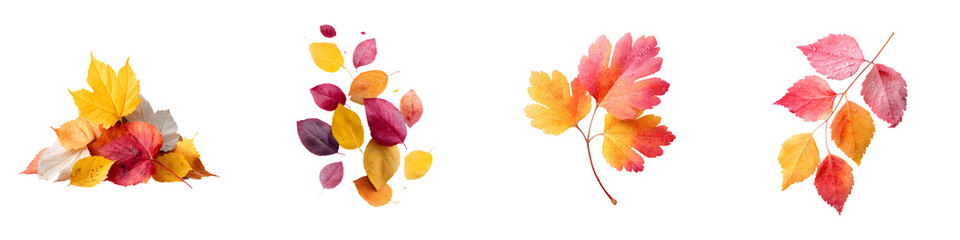 Fototapeta premium Vibrant autumn leaves in assorted shades of yellow, orange, and pink, showcasing intricate details and natural textures, perfect for seasonal decorations and nature-themed designs
