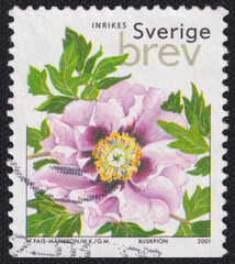 Tree Peony Paeonia suffruticosa flower on a 2001 Sweden postage stamp