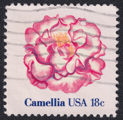Camellia flower on a 1981 USA postage stamp