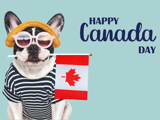 Happy Canada Day. Cute puppy and Canadian Flag. Closeup, indoors. Studio shot. Congratulations for family, loved ones, friends and colleagues. Pets care concept