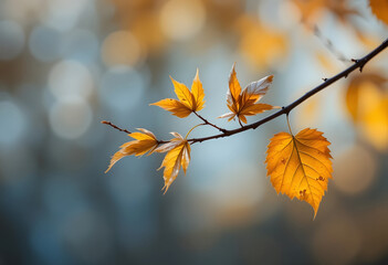 Beautiful golden autumn leaves on a branch displaying vivid fall colors and nature
