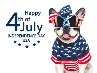 Happy Independence Day. American Flag and cute puppy. Closeup, indoors. Studio shot....