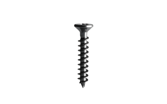 Single black drywall screw with Phillips head and sharp threaded shaft isolated on white background for construction and hardware use