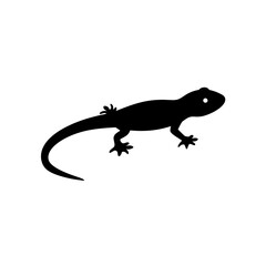 Fototapeta premium Professional Side Profile of a Crawling Salamander as a Black Silhouette Design