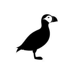 Obraz premium Detailed Side View of a Standing Puffin Rendered as a Black Silhouette Graphic