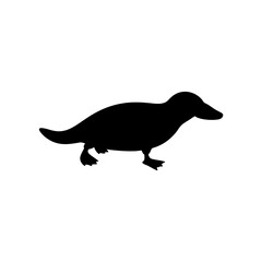 Fototapeta premium Professional Side Profile of a Platypus Animal as a Black Silhouette Vector Design
