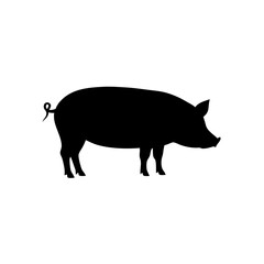 Fototapeta premium High Quality Monochrome Vector Graphic of a Rooting Pig in a Side View Profile