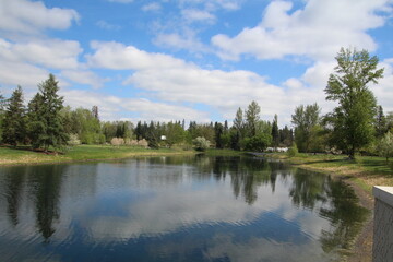 lake in the park