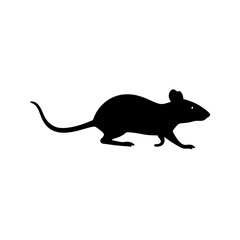 Fototapeta premium vector illustration of a mouse